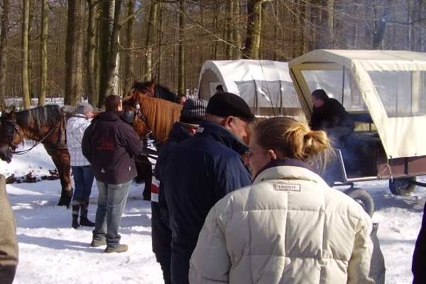 Paard tocht met huifkar in het woud van Saint-Hubert en Ardennen