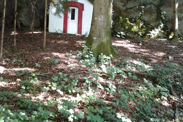 Kapelletjes en legendes in het grote woud van de Ardennen